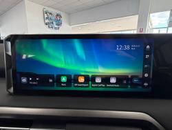 2025 LDV Terron 9 Origin