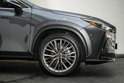 2024 Lexus
NX 350h Sports Luxury