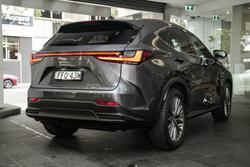 2024 Lexus
NX 350h Sports Luxury