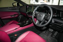 2024 Lexus
NX 350h Sports Luxury