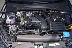 2025 SKODA Fabia 110TSI Monte Carlo