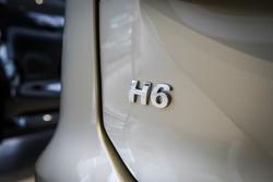 2025 GWM
H6