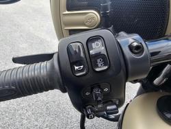 2022 Indian Chieftain Dark Horse Gold