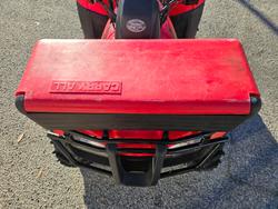 2017 Honda  TRX250TM 2WD 4-WHEELER Red