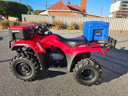 2017 Honda  TRX250TM 2WD 4-WHEELER Red