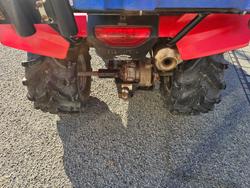 2017 Honda  TRX250TM 2WD 4-WHEELER Red