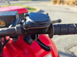 2017 Honda  TRX250TM 2WD 4-WHEELER Red