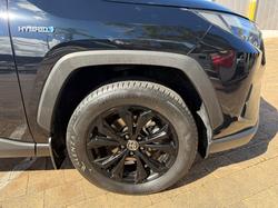2024 Toyota RAV4 Cruiser