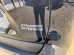 2024 Toyota RAV4 Cruiser