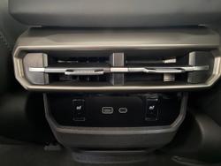 2025 LDV
                Terron 9 Evolve