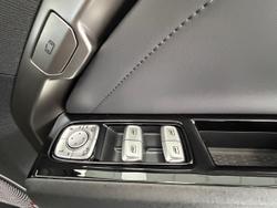 2025 LDV
                Terron 9 Evolve