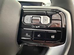 2025 LDV
                Terron 9 Evolve