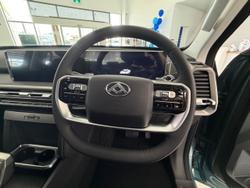 2025 LDV
                Terron 9 Evolve