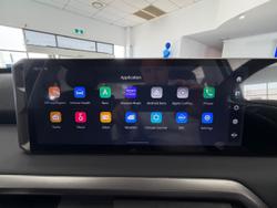 2025 LDV
                Terron 9 Evolve