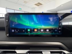 2025 LDV
                Terron 9 Evolve