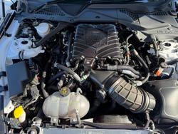 2019 Ford  Mustang  Dick Johnstone Racing 