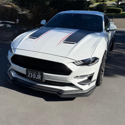 2019 Ford  Mustang  Dick Johnstone Racing 