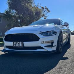 2019 Ford  Mustang  Dick Johnstone Racing 