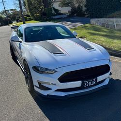 2019 Ford  Mustang  Dick Johnstone Racing 