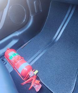 2019 Ford  Mustang  Dick Johnstone Racing 