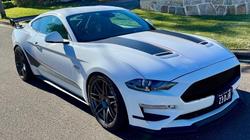 2019 Ford  Mustang  Dick Johnstone Racing 