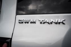 2025 GWM
GWM TANK 300