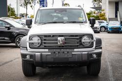 2025 GWM
GWM TANK 300