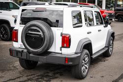 2025 GWM
GWM TANK 300
