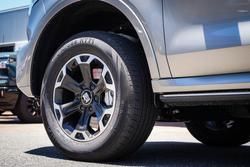 2025 GWM GWM TANK 500